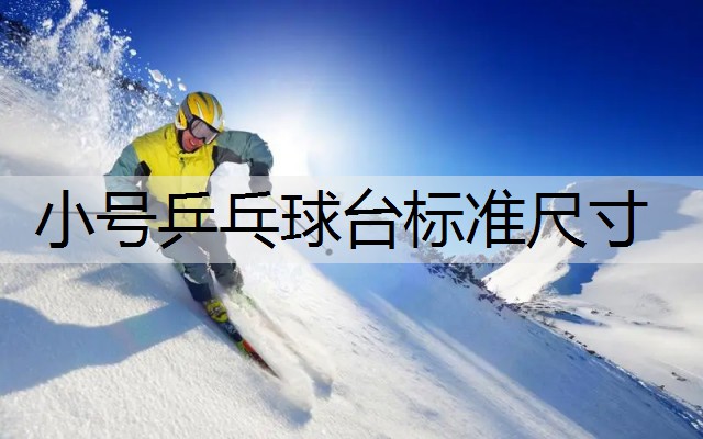 小号乒乓球台标准尺寸