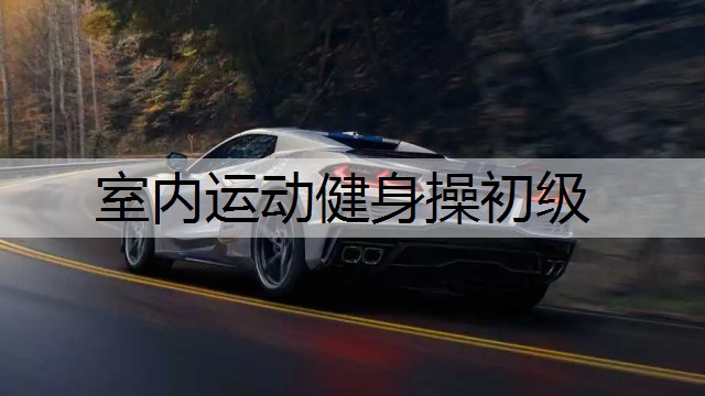 室内运动健身操初级