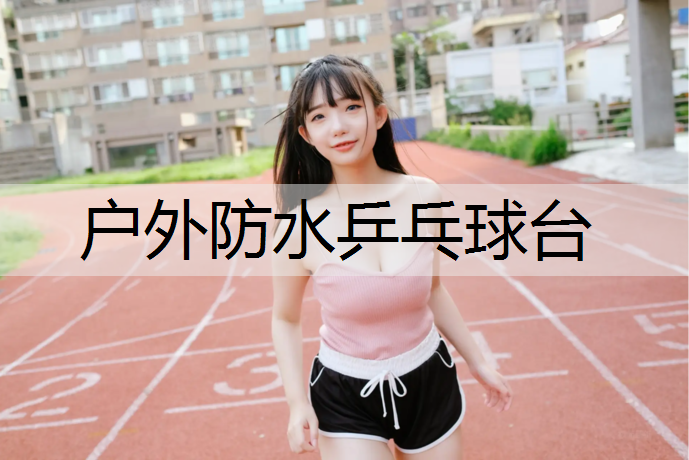 户外防水乒乓球台